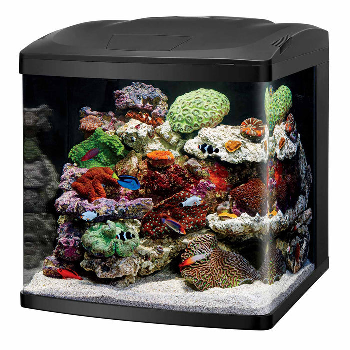 Kit para acuario Coralife LED BioCube 32 de 20,25" x 21,875" x 21,5"