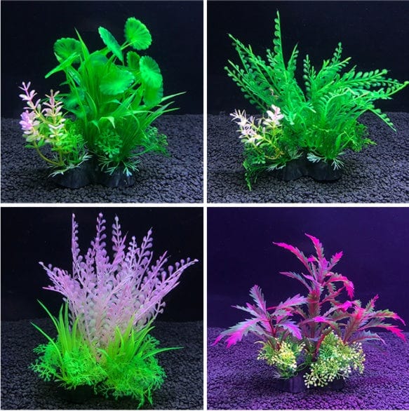 Planta de Acuario - EL ENVIO ESTÁ INCLUIDO EN EL PRECIO DE ESTE PRODUCTO