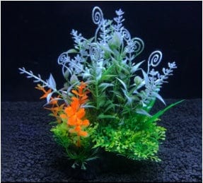 Planta de Acuario - EL ENVIO ESTÁ INCLUIDO EN EL PRECIO DE ESTE PRODUCTO