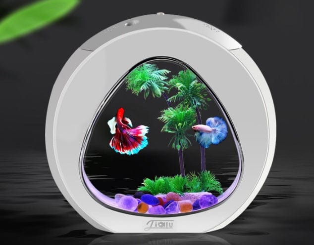 Acuario de sobremesa EL ENVIO ESTÁ INCLUIDO EN EL PRECIO DE ESTE PRODUCTO
