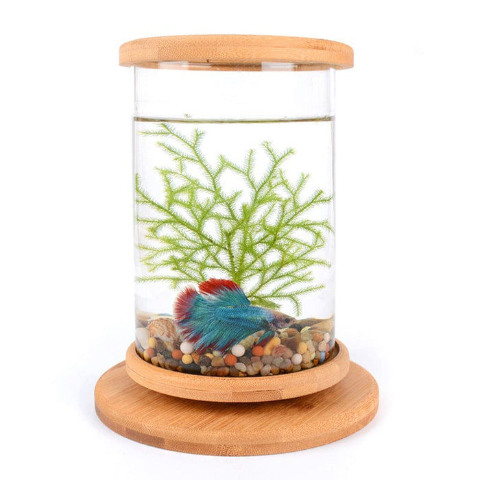 Acuario de vidrio para oficina pequeño, base de bambú, mini pecera decorativa, pecera