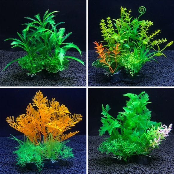 Planta de Acuario - EL ENVIO ESTÁ INCLUIDO EN EL PRECIO DE ESTE PRODUCTO