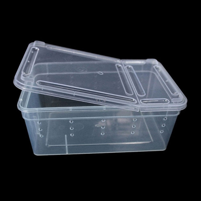 Caja de alimentación de plástico transparente para reptiles.