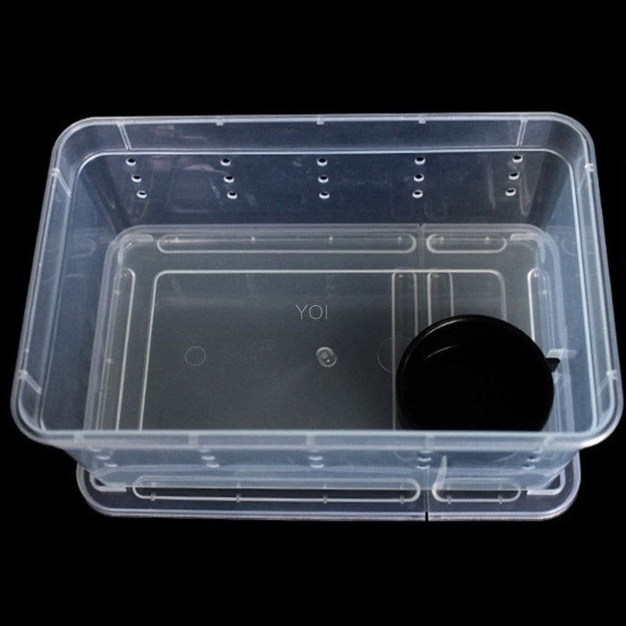 Caja de alimentación de plástico transparente para reptiles.