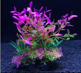 Planta de Acuario - EL ENVIO ESTÁ INCLUIDO EN EL PRECIO DE ESTE PRODUCTO