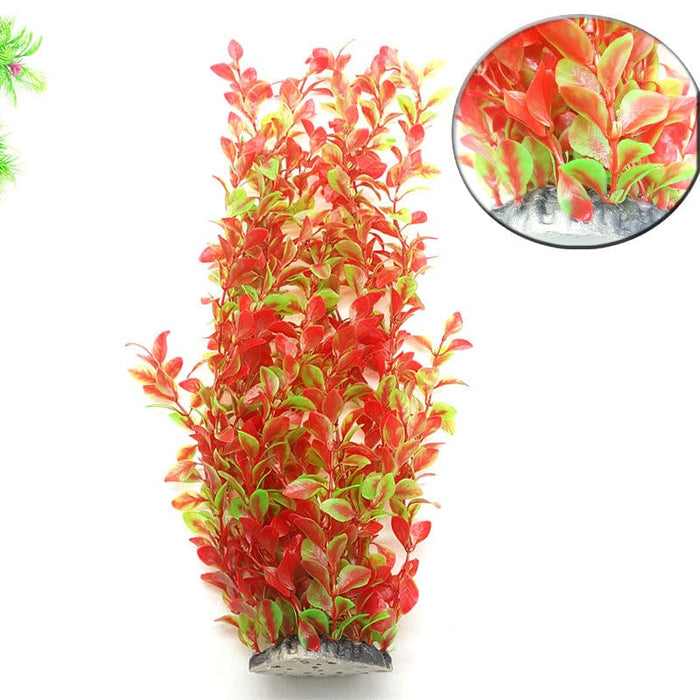 Aquarium  plant -  FREE SHIPPING ON THIS PRODUCT