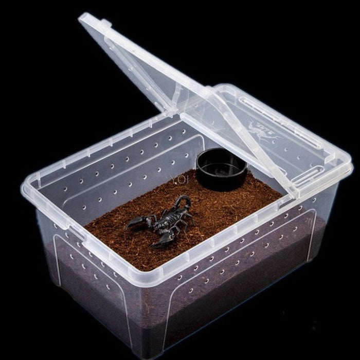 Caja de alimentación de plástico transparente para reptiles.