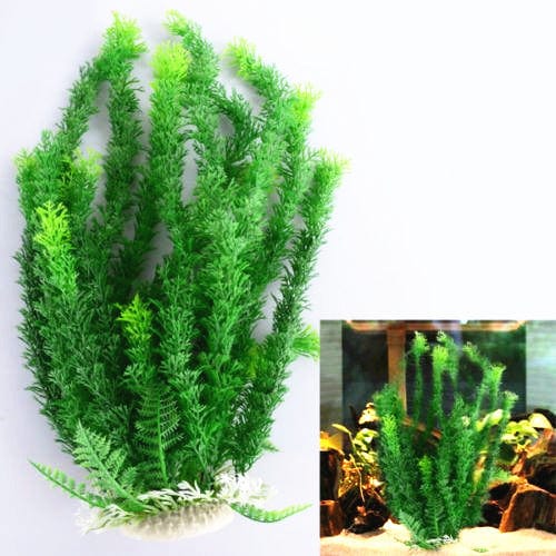 Planta de acuario - ENVÍO GRATIS EN ESTE PRODUCTO