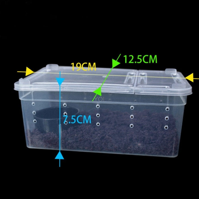 Caja de alimentación de plástico transparente para reptiles.