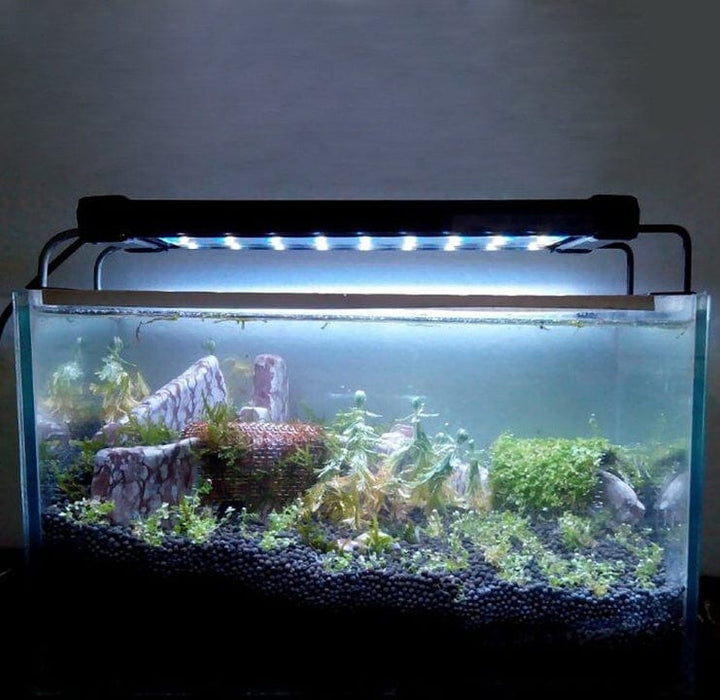 Lámpara LED para acuario - EL ENVÍO ESTÁ INCLUIDO EN EL PRECIO DE ESTE PRODUCTO