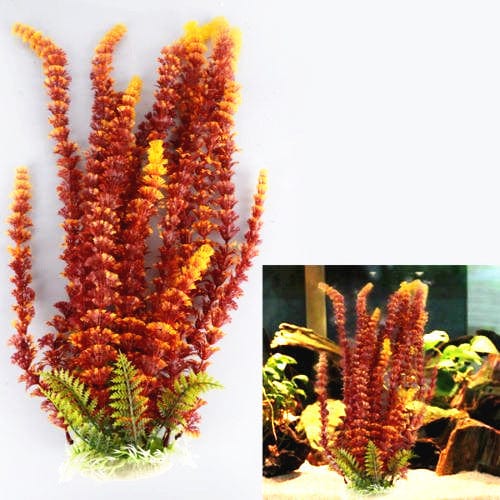 Aquarium  plant -  FREE SHIPPING ON THIS PRODUCT