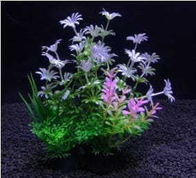 Planta de Acuario - EL ENVIO ESTÁ INCLUIDO EN EL PRECIO DE ESTE PRODUCTO