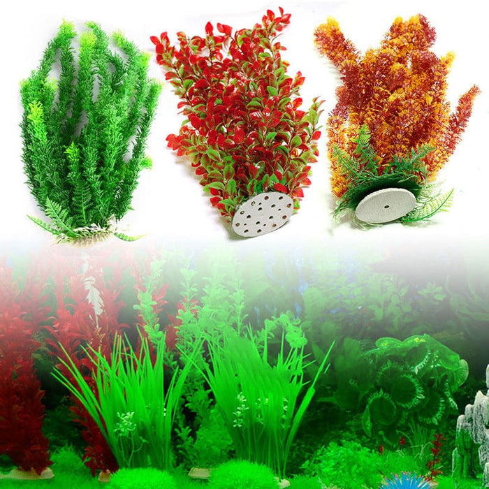 Aquarium  plant -  FREE SHIPPING ON THIS PRODUCT
