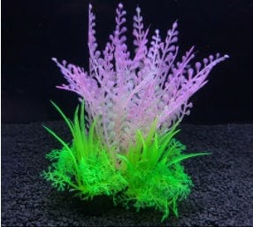 Planta de Acuario - EL ENVIO ESTÁ INCLUIDO EN EL PRECIO DE ESTE PRODUCTO
