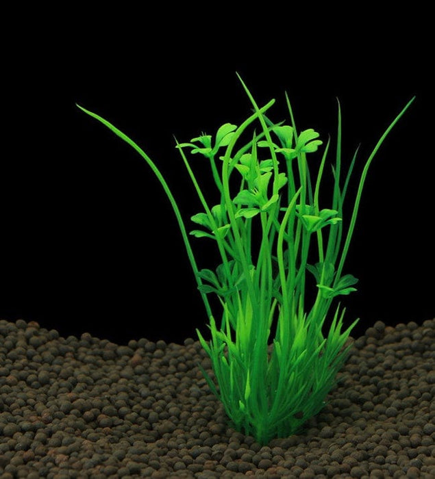 Planta de Acuario - EL ENVIO ESTÁ INCLUIDO EN EL PRECIO DE ESTE PRODUCTO