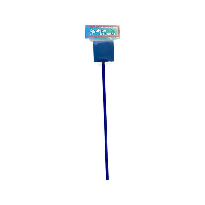 Ginger Scrubmaster Glass Scrubber 18" Handle