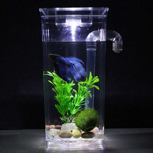 Mini desktop fish tank - self-cleaning small desktop fish tank - SHIPPING IS INCLUDED IN THE PRICE OF THIS PRODUCT
