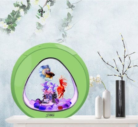 Acuario de sobremesa EL ENVIO ESTÁ INCLUIDO EN EL PRECIO DE ESTE PRODUCTO
