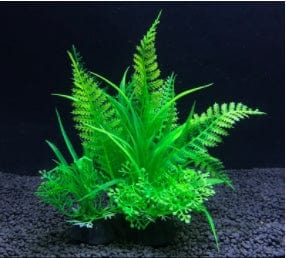 Planta de Acuario - EL ENVIO ESTÁ INCLUIDO EN EL PRECIO DE ESTE PRODUCTO