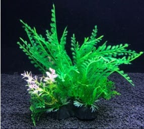 Planta de Acuario - EL ENVIO ESTÁ INCLUIDO EN EL PRECIO DE ESTE PRODUCTO
