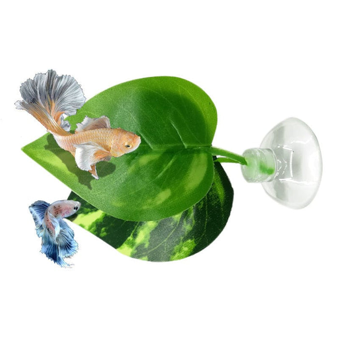 Cama Betta - EL ENVÍO ESTÁ INCLUIDO EN EL PRECIO DE ESTE PRODUCTO