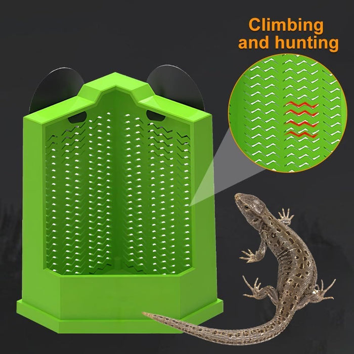 Comedero de esquina para reptiles con ventosas para lagarto, iguana, gecko, dragón barbudo - EL ENVÍO ESTÁ INCLUIDO EN EL PRECIO DE ESTE PRODUCTO