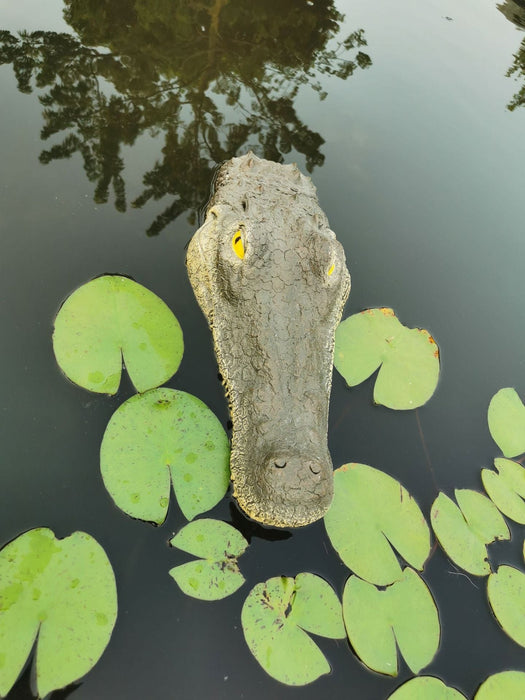 Adorno de caimán flotante para estanque de jardín. EL ENVÍO ESTÁ INCLUIDO EN EL PRECIO DE ESTE PRODUCTO.