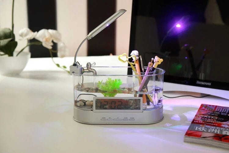 Mini Acuario de Escritorio - Hora Fecha Semana Temperatura Alarma - EL ENVIO ESTÁ INCLUIDO EN EL PRECIO DE ESTE PRODUCTO
