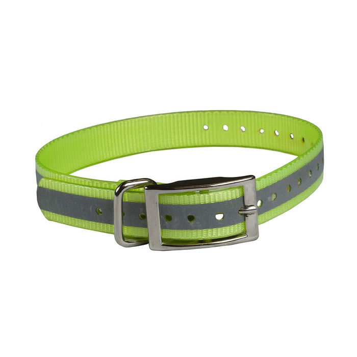 Correa reflectante para collar Buzzard's Roost de 1" negra de 1" x 24"