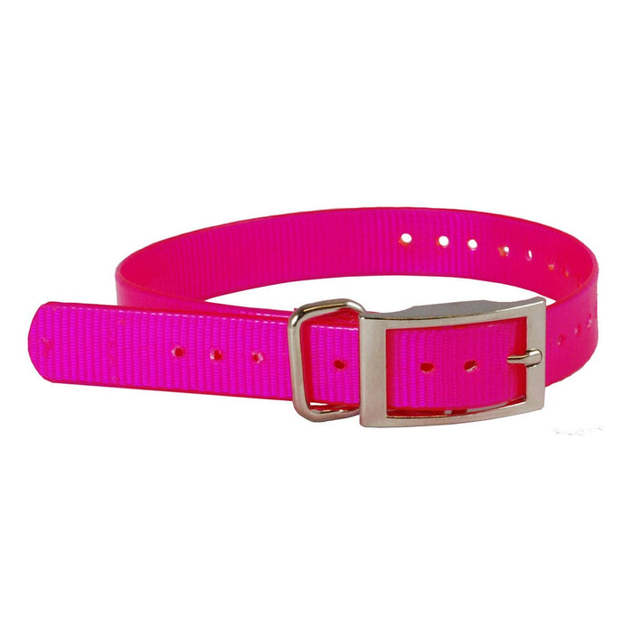 The Buzzard's Roost Replacement Collar Strap 1" Black 1" x 24"
