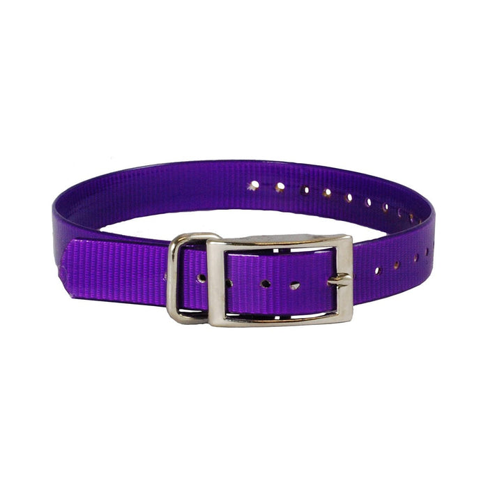 The Buzzard's Roost Replacement Collar Strap 1" Black 1" x 24"