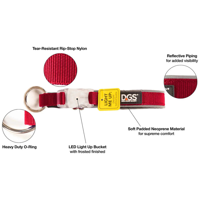 Collar para perros con luz recargable Comet de DGS Pet Products, tamaño pequeño, color rojo, de 13,5 a 16 pulgadas x 0,6 pulgadas