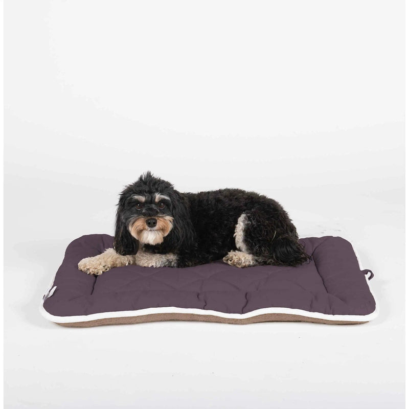 DGS Pet Products Pet Cotton Canvas Sleeper Cushion Extra Extra Large Pebble Grey 30" x 48" x 1"