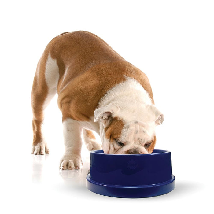 Cuenco refrigerante para mascotas K&H Pet Products, 96 onzas, azul, 11,5" x 11,5" x 4"