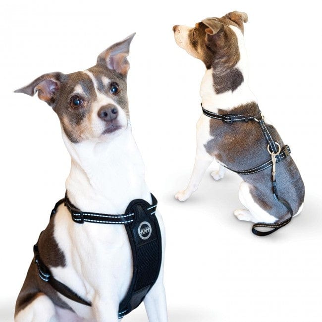 Arnés de seguridad para viajes para mascotas K&H Pet Products, grande, color negro