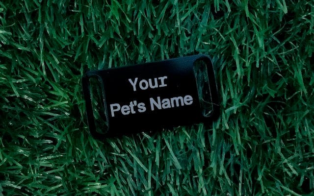Metal Slide On Pet ID Tag Medium - Dog Tag- Free Engraving