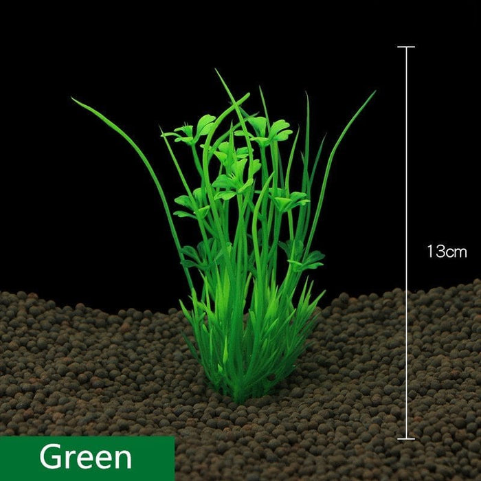 Aquarium Plant - SHIPPING IS INCLUDED IN THE PRICE OF THIS PRODUCT