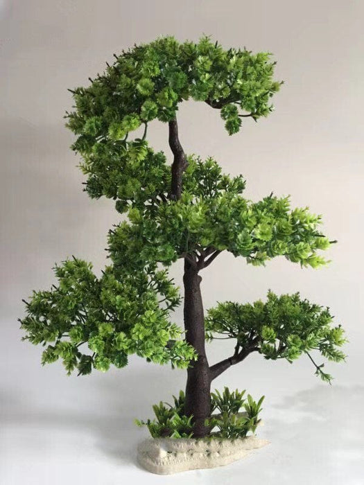 Aquarium Plants - SHIPPING IS INCLUDED IN THE PRICE OF THIS PRODUCT