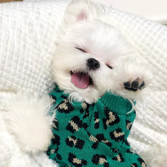 Knitted Leopard-print Dog Sweater SHIPPING IS INCLUDED IN THE PRICE OF THIS PRODUCT