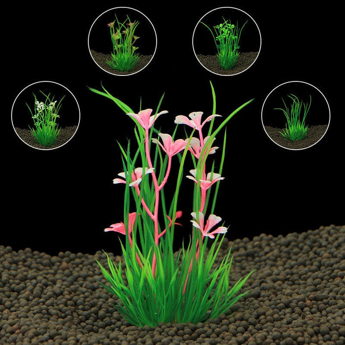 Planta de Acuario - EL ENVIO ESTÁ INCLUIDO EN EL PRECIO DE ESTE PRODUCTO