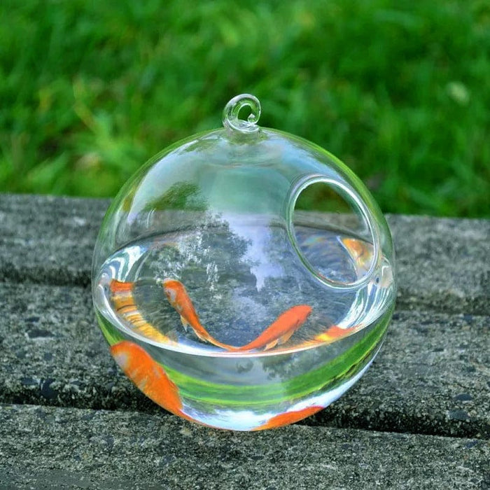 Hanging Glass Vase Fish Tank SHIPPING IS INCLUDED IN THE PRICE OF THIS PRODUCT
