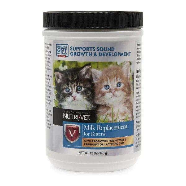 Milk Replacement for Kittens