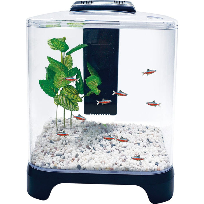 Betta Tank Kit - PENN-PLAX NuWave Betta Fish Tank Kit with LED Light and Internal Filter - Black - 1.5 Gallon