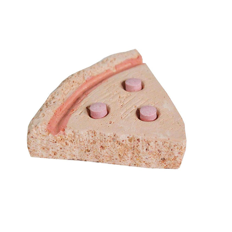 Bird Life™ Pizza Tweets Penn Plax