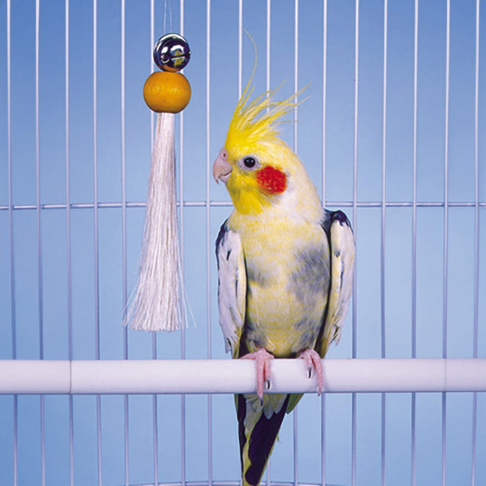 Bird Life™ Cockatiel Hanging Pacifier with Bell Penn Plax