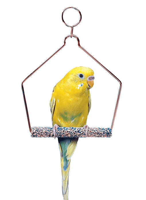 Bird Life™ Trimmer Plus™ Cement Swing - 3" Penn Plax