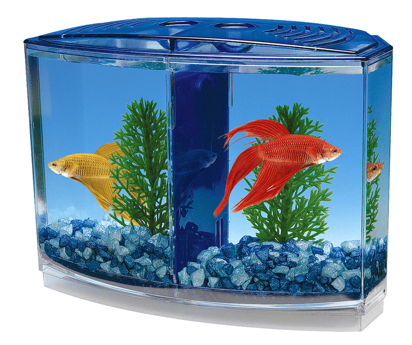 Kit de tanque doble Betta Bow-Front(TM) - En caja: incluye: tanque, divisor, (2) plantas y 4 oz de grava Penn Plax