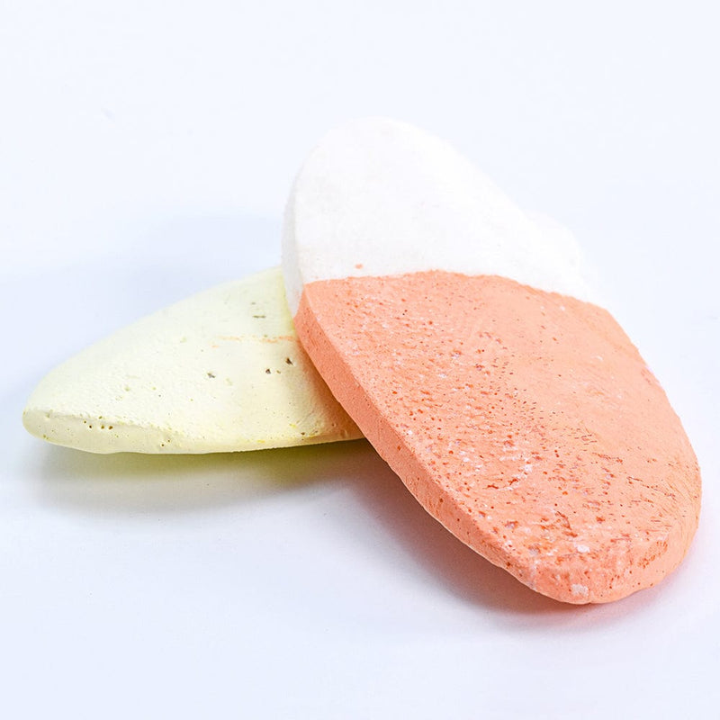 Bird Life™ e-Cuttlebone™ Mineral Block - 2-Pack - Fruit Dipped Penn Plax