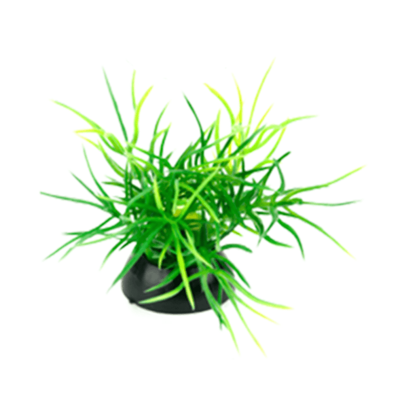 Aquarium Plants Betta Plants 2" 6pk Penn Plax