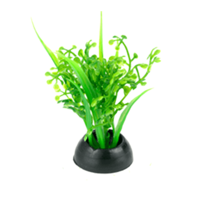 Plantas de acuario Plantas Betta 2" Paquete de 6 Penn Plax